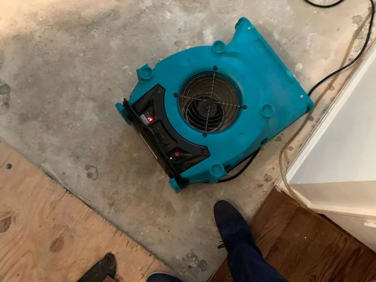 Air mover drying subfloor during Leak Detection & Repair in Signal Hill